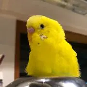 リツコ