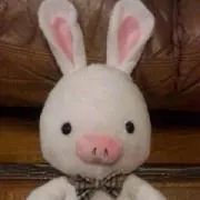 ぽし