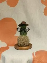 ツク