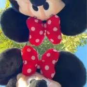 ゆりかの画像