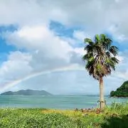 umiの画像