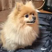 kの画像