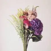 zukeeenの画像