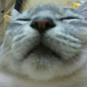 こぉへぇ♂の画像