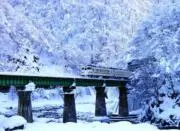 issaの画像