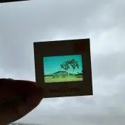 Hirochiの画像