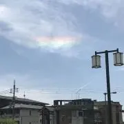 ササマキの画像