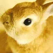 mochi★の画像