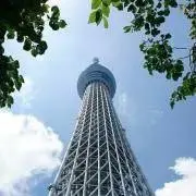 高級にゃんこの画像