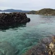 めぐすりの画像