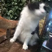 jmd お値下げ〇の画像