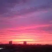TMocの画像