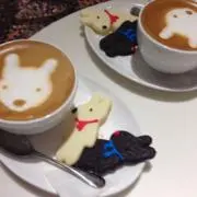 ビノの画像