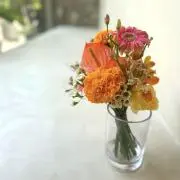 maruの画像