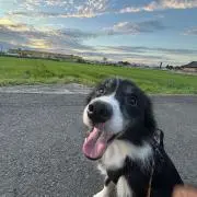 RANの画像