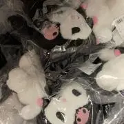 ^._.^の画像