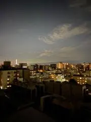 芝生族の画像