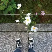 NHYSDの画像