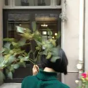 みみみの画像