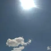 mimiの画像