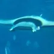 あああいいい