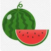 さちんの画像