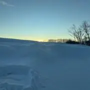 やぴ