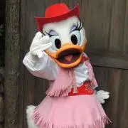 デイジーの画像