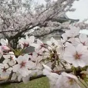 Tottyの画像