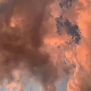 にーの画像