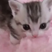 ‪‪❤︎‬