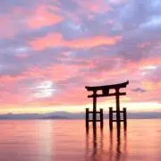 てぬぐい