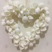 みきちゃん☆彡の画像