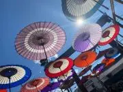 ブルーベリー☆プロフ必ずご覧くださいの画像