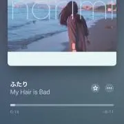 My Hair is Bad ナップサック マイヘア ナインスアポロ - メルカリ