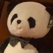 panda0214の画像