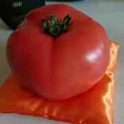 とまと