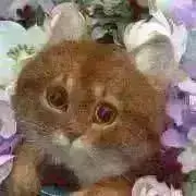 ＊きものはなえ＊の画像