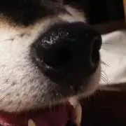 黒豆光男の画像