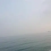 kakiの画像