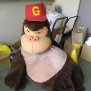 gahajaka
