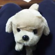 ナベッチの画像