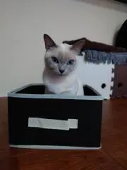 ひろ