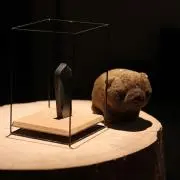 Grodanteの画像