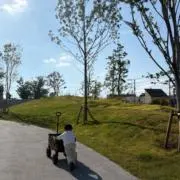 neの画像