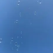 サリーの画像