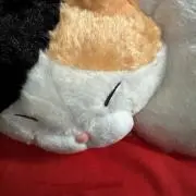 おむすびの画像