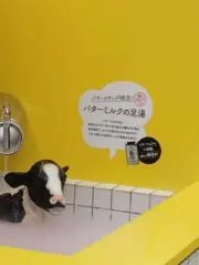 YK【即購入OK！値下げ依頼歓迎！】の画像