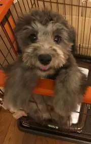 Takの画像
