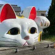 ミヤタマの画像